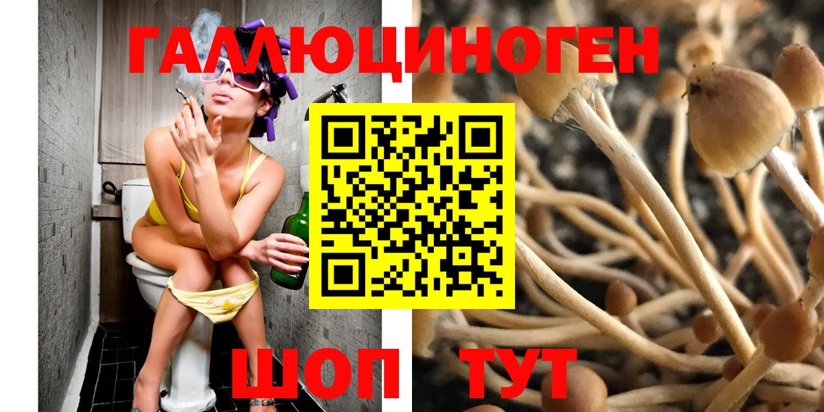 Галлюциногенные грибы мицелий  Вход с VPN  Новочебоксарск  Псилоцибиновые грибы Magic Shrooms 