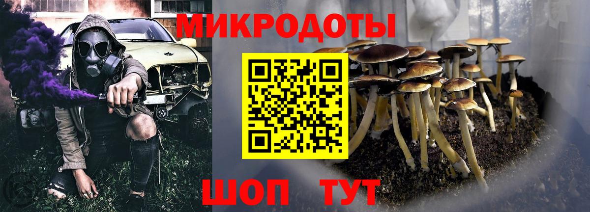 Псилоцибиновые грибы Cubensis Новочебоксарск